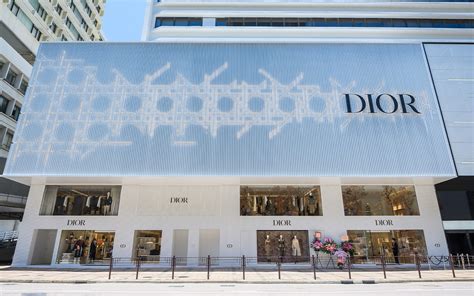 dior hk shoes|dior hk official website.